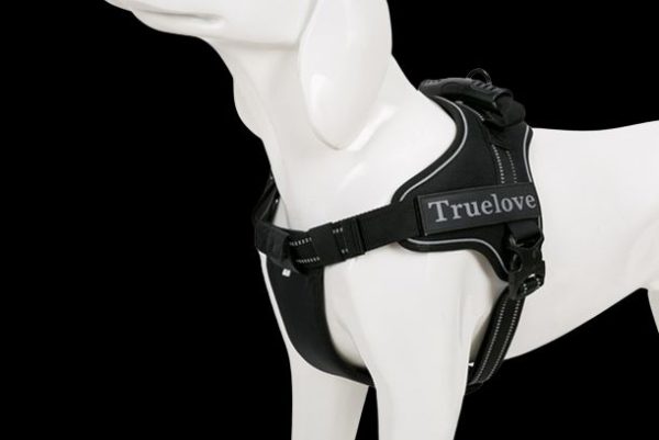 harnais truelove anti traction