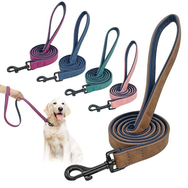 laisse cuir double couche chien