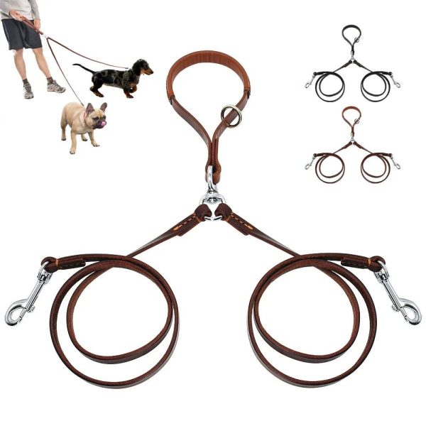 laisse double en cuir chien