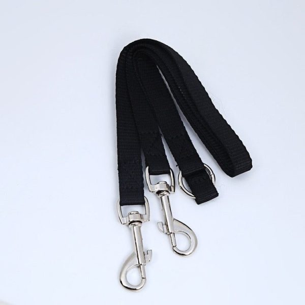 laisse double pour chien