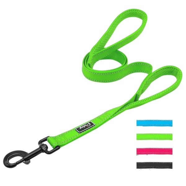 laisse entrainement chien double poignée