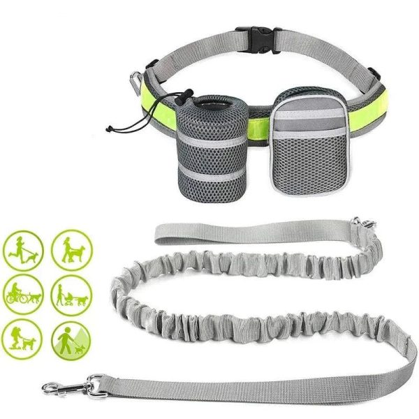 Laisse main libre running réfléchissante