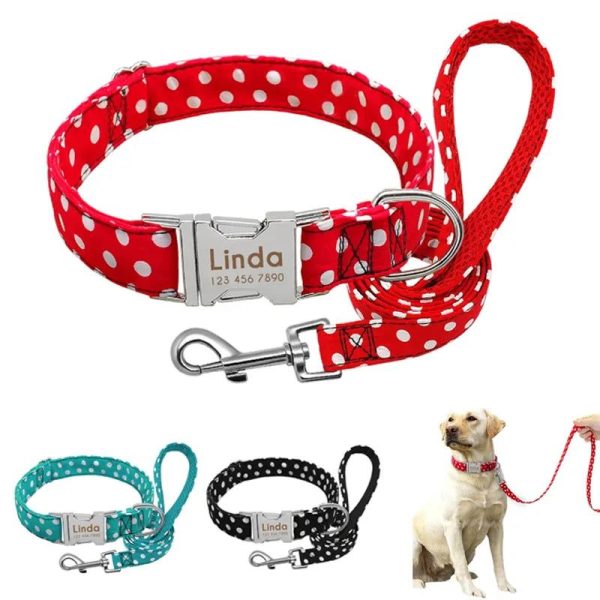 pack collier personnalisé chien et laisse pois