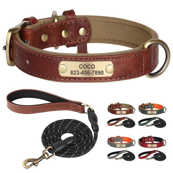 pack collier personnalisé et laisse chien cuir rembourré