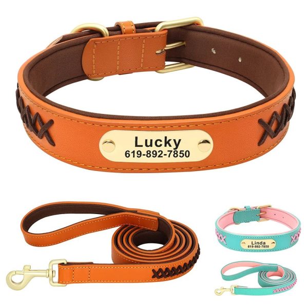 pack collier personnalisé et laisse chien cuir tressé