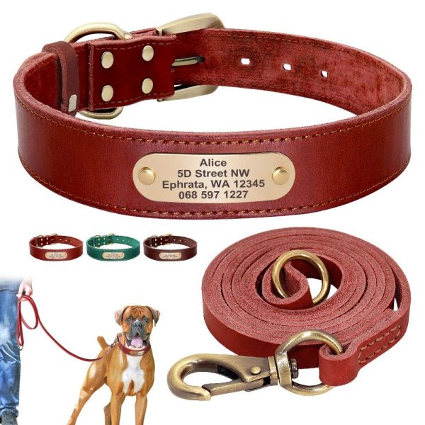 pack collier personnalisé et laisse chien en cuir
