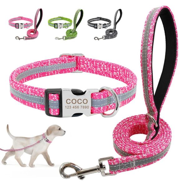 pack collier personnalisé et laisse chien réfléchissant