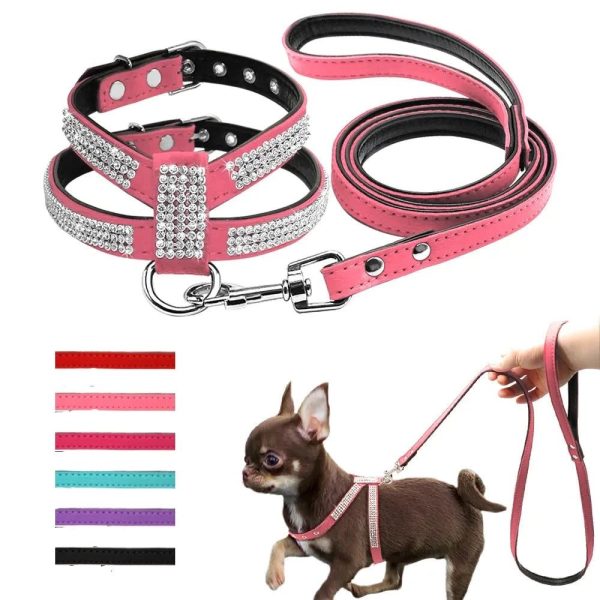 pack harnais diamant et laisse
